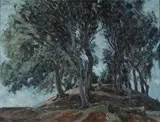 Alberi by Paulo Ghiglia, offered Jul 2013