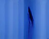 Scale cromatiche in azzurro by Ennio Finzi, offered Jul 2013