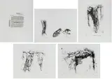 Renzo Vespignani, Anatomie