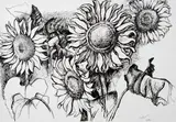 Renato Guttuso, Girasoli
