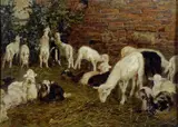 Francesco Gioli, Gregge in sosta