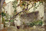Giuseppe Casciaro, Rampicanti