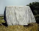 Andrea Di Marco, Elefant, 2008