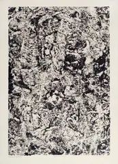 Texte de Roche by Jean Dubuffet, 1959, Tiratura in basso a sinistra. Firma e data in basso a destra. Titolo al centro.Bibliografia: S. Webel - L'Oeuvre, offered Dec 2012