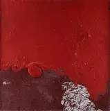 Hermann Nitsch, Senza titolo, 2008