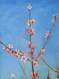 Valentino Ghiglia, Fiori di pesco