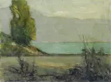 Raul Viviani, Paesaggio lacustre