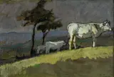 Ruggero Panerai, Bovini al pascolo
