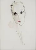 Ernesto Treccani, Volto