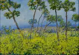 Michele Cascella, Paesaggio con ginestre