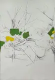 Mario Schifano, Plastica
