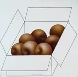 Vanni Viviani, Scatola impossibile per una condizione concreta