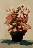 Marcello Boccacci, Fiori