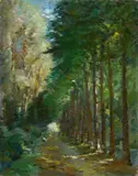 Seve Sospizio, Viale dei Tigli (Viareggio)