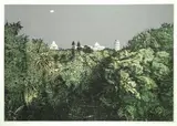 Giuseppe Bartolini, Orto botanico e Pisa, 1980, Donato da: Galleria il Bisonte