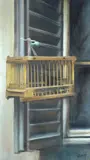 Lorenzo Giandotti, Senza titolo, Donato da: l'Artista