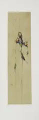 Rose by Alessandro Nocentini, 2010, Donato da: l'Artista, offered Dec 2011