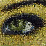 Riccardo Paci, Occhio 10, Donato da: l'Artista