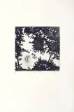 Guido Pinzani, Sera nel cilento: agosto, 1996, Donato da: l'Artista