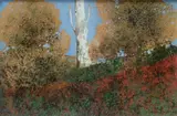 Giuseppe Romagnoni, Albero