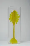 Gino Marotta, Albero