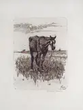 Giovanni Fattori, Il vecchio cavallo