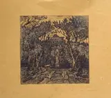 Gino Romiti, Giardino