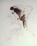 Ugo Capocchini, Profilo