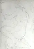 Ugo Capocchini, Nudo