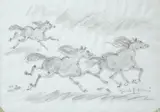Giulio Falzoni, Cavalli