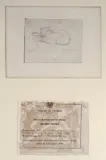 Renato Natali, Studio di gatto
