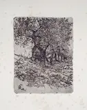 Giovanni Fattori, Alberi