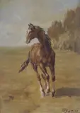 Mario Bordi, Cavallo