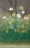 Marcello Boccacci, Fiori