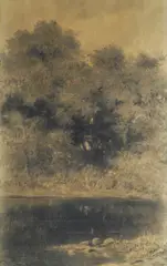Roberto Fontana, Stagno