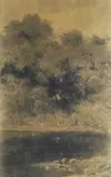 Roberto Fontana, Stagno