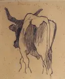 Mario Puccini, Bove