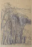 Ludovico Tommasi, Faggeta