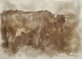 Silvio Bicchi, Toro