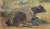 Silvio Bicchi, Mucca