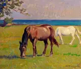 Cafiero Filippelli, Cavalli al pascolo