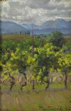Piero Focardi, Vigneto