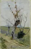Raffaello Sorbi, Altipiano al mattino
