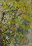 Raffaello Sorbi, Albero