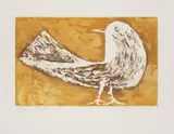 Ota Janeček, Pidgeon