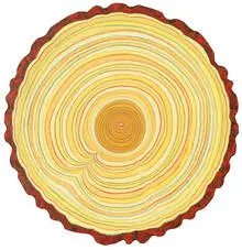 Matthew Offenbacher, Sequoia (71), 2003, Oil on canvas