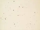Ed Ruscha, Pearl Dust Combination (from Insects Portfolio), 1972, 9-color screenprint with pearl dust on Fabriano Classico glazed-finish watercolor paper