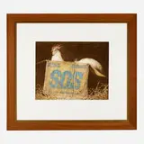 Jamie Wyeth, S.O.S., 1981, etching in colors