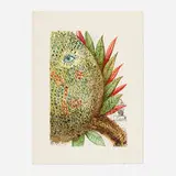 Ananas (from the Végetation inédit series) by Salvador Dalí, 1967, photolithograph in colors with etched remarques on Japon nacré, sold Oct 2022