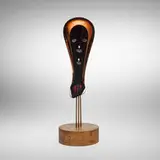 Gianni Toso, Head